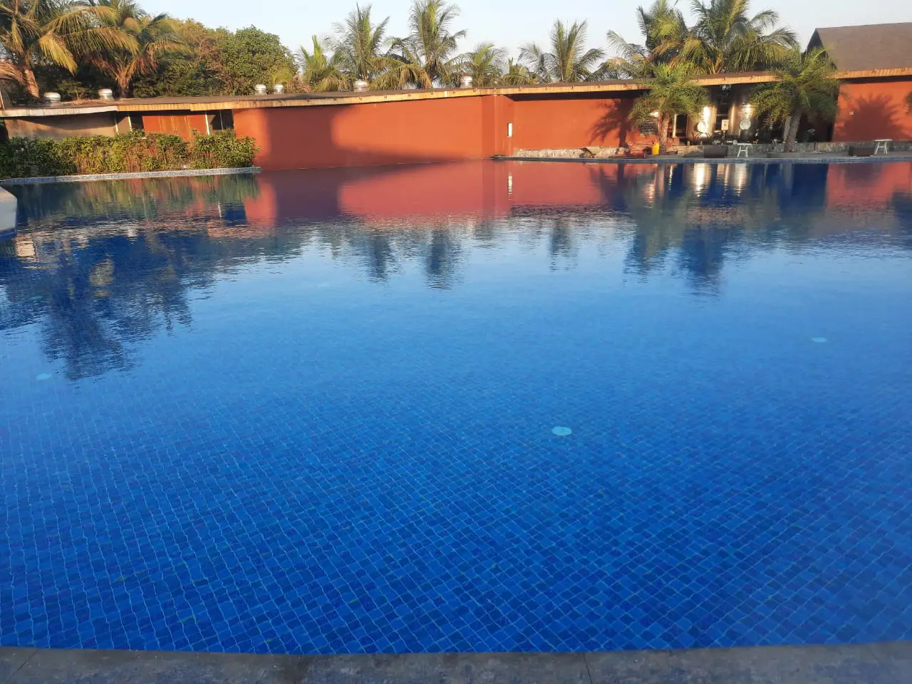 Large resort swimming pool with palm trees and poolside area