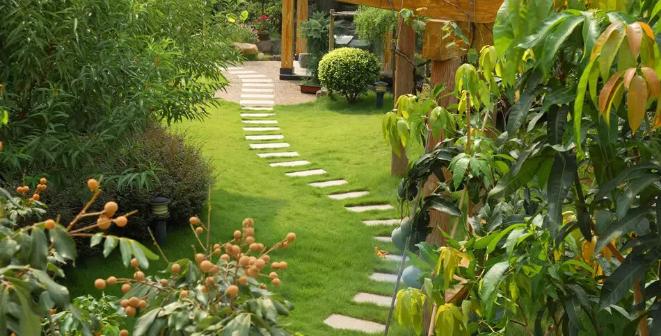 Garden walkway landscaping with plants and stepping stones